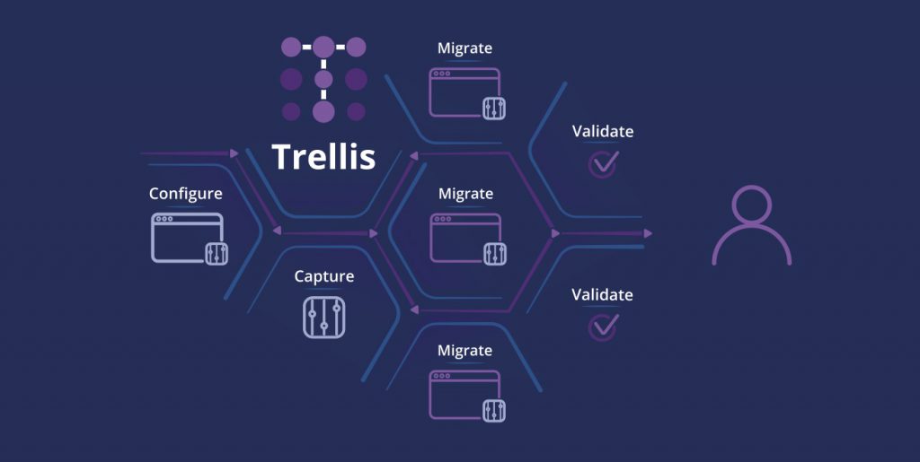 Trellis graphic