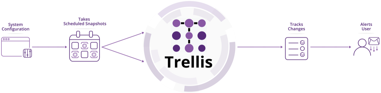 Trellis software application work flow chart